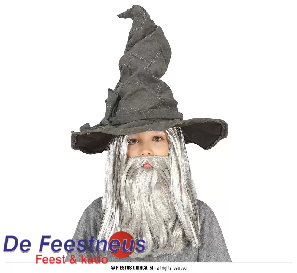 Grey Wizard Hoed Voor Kinderen De Feestneus Feest En Kado