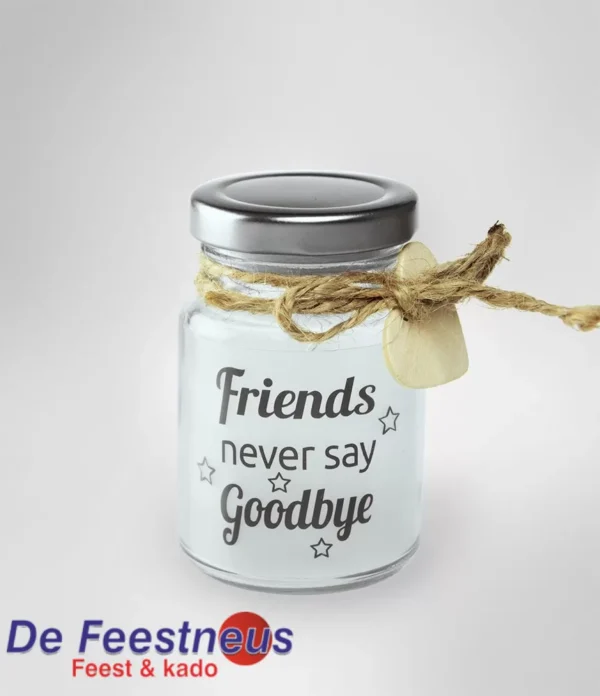 lsl-11-friends-never-say-goodbye-web-l