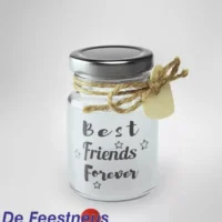 lsl-12-best-friends-forever-web-l
