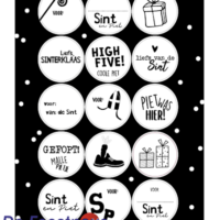 0018998-a5-stickervel-15-stickers-sinterklaas-2021-75-vellen-550