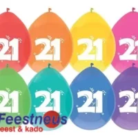 ballonnen-21-30cm-8st-15514-nl-G