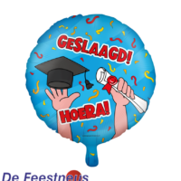 7042138-party-folie-ballonnen-geslaagd-cartoon