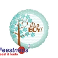 sempertex-balloons-groothandel-distributeur-ballons-latex-supershape-foil-balloon-boy-owl