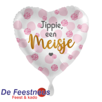 Everloon-Folie-ballon-70152