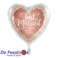 Everloon-Folie-ballon-70353