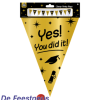 7031101-classy-party-flags-you-did-it-