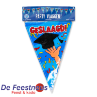 party-vlaggen-geslaagd-school-cartoon-verpakt