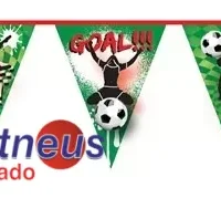 vlaggenlijn-goal-10m-15413-nl-G