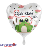 Everloon-Folie-ballon-1224