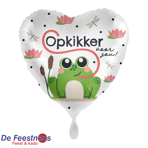 Everloon-Folie-ballon-1224