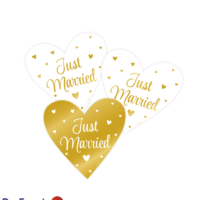 decoration-sign-special-just-married1
