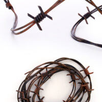 f8105eb5e36947f4d27046e5421500881