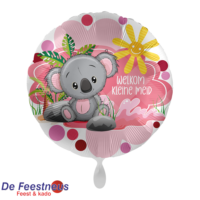 Everloon-Folie-ballon-4019