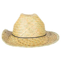 c196f6d15efcc0717f0e8c3036a1991e