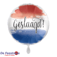 Everloon-Folie-ballon-1201