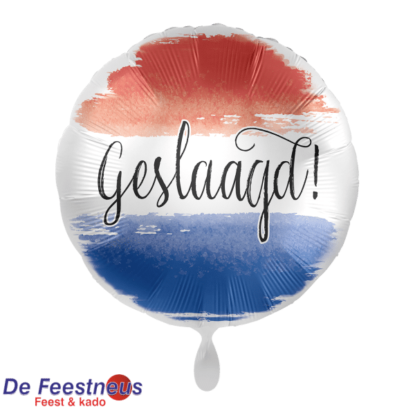 Everloon-Folie-ballon-1201
