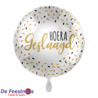 Everloon-Folie-ballon-12021