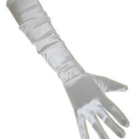 3a5786c4cbacc6571ab59e01fd9b64c4