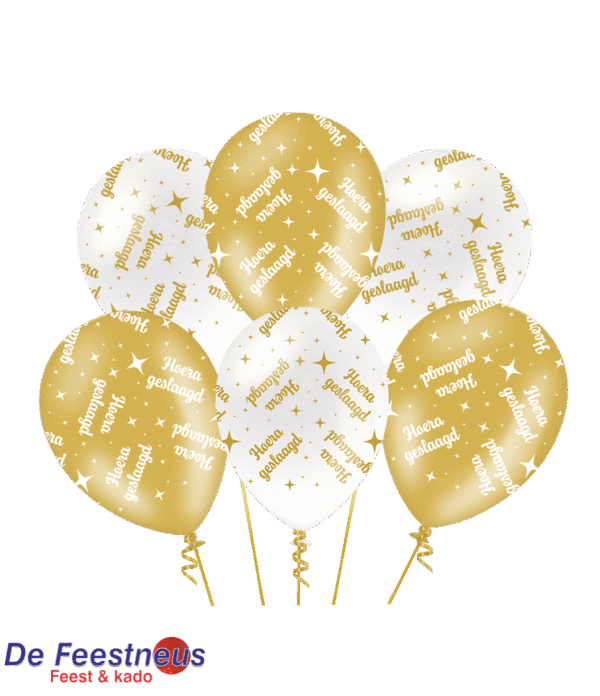 fancy-party-balloons-geslaagd1