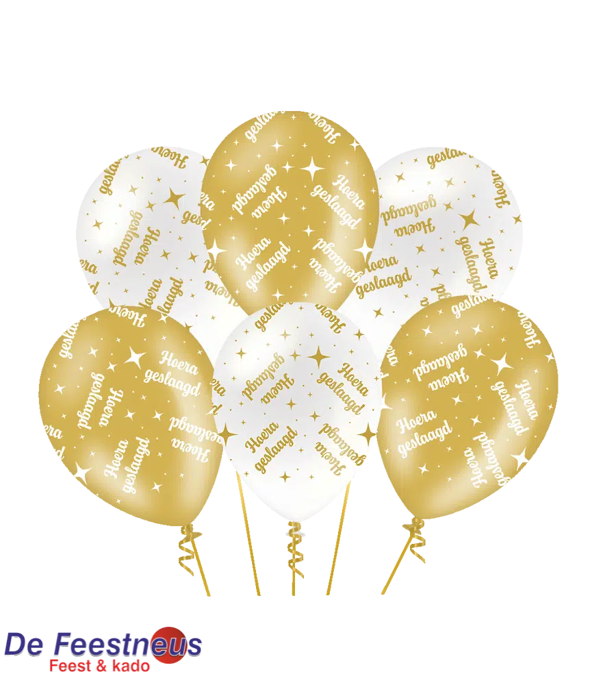 fancy-party-balloons-geslaagd1