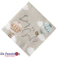 servetten-baby-balloons-gender-reveal-33cm-20st-32581-nl-G1