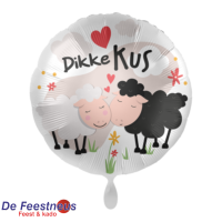 Everloon-Folie-ballon-12261