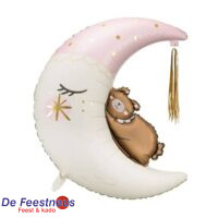 Folieballon-Teddybeer-op-de-maan1