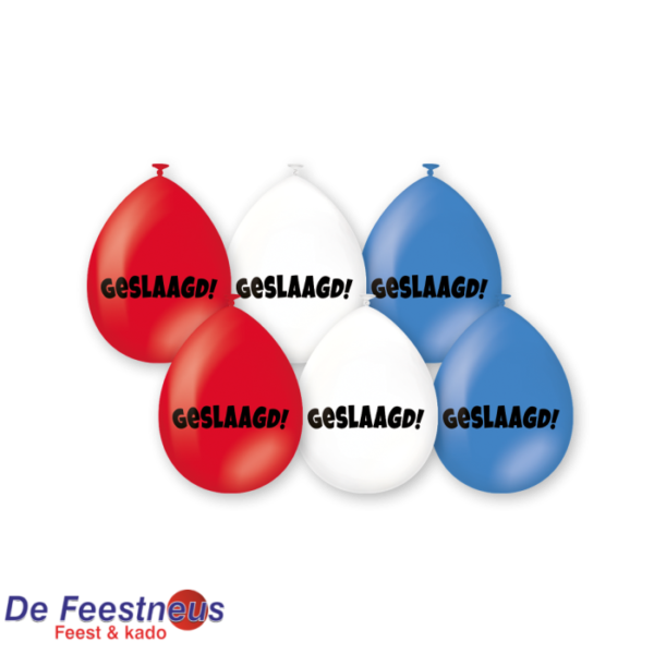 party-balloons-geslaagd-rwb1