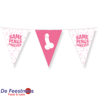 party-flags-foil-same-penis-forever-11