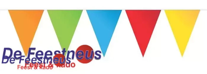 Vlaggenlijn ass. kleuren 10 meter