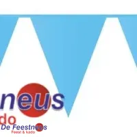 Vlaggenlijn blauw 10 m