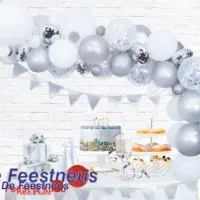 Balloon Deco Kit zilver