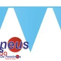 Vlaggenlijn blauw 10 m