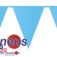 Vlaggenlijn blauw 10 m