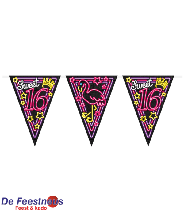 Neon party flag - Sweet 16