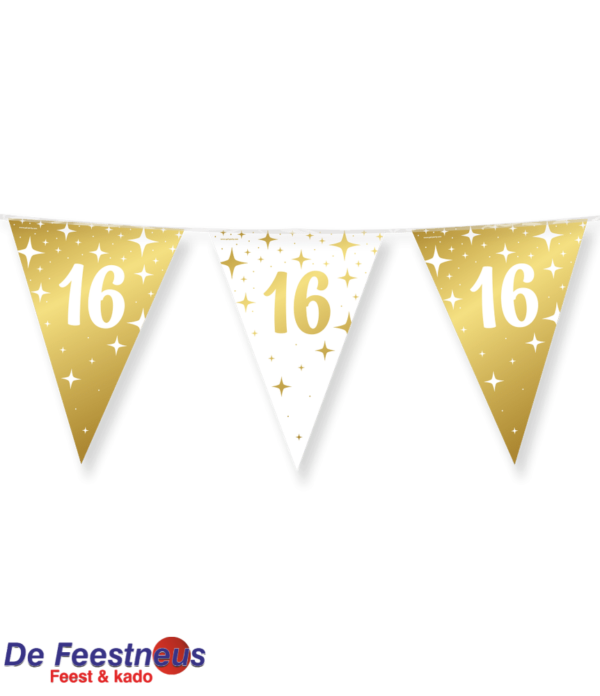 Slinger 16 jaar Fancy