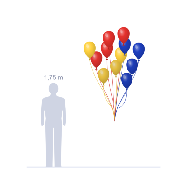 Heliumballonnen naar keuze van De Feestneus